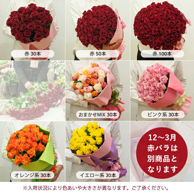 【母の日お届け不可商品】【本数が選べる】バラの　花束 25本以上で　送料無料！◆薔薇 ブーケ 記念日 誕生日 結婚記念 お祝い 入学 入園 還暦◆癒し　赤　ピンク　黄色　ギフト　プレゼント　切花