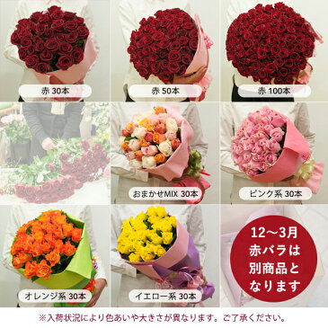 【母の日お届け不可商品】【本数が選べる】バラの　花束 25本以上で　送料無料！◆薔薇 ブーケ 記念日 誕生日 結婚記念 お祝い 入学 入園 還暦◆癒し　赤　ピンク　黄色　ギフト　プレゼント　切花　少し早めの　母の日