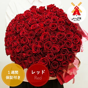 ゴージャス 色おまかせでお得【 バラ100本の花束 品質保証 送料無料 】花言葉は「 100 %の愛」ブーケ 記念日 プロポーズ 誕生日 花 薔薇 フラワー ギフト プレゼント 結婚 お祝い 還暦 喜寿 花束 結婚記念 土曜日発送 生花 古希 傘寿 米寿 銀婚式 金婚式 バラ 送別 退職