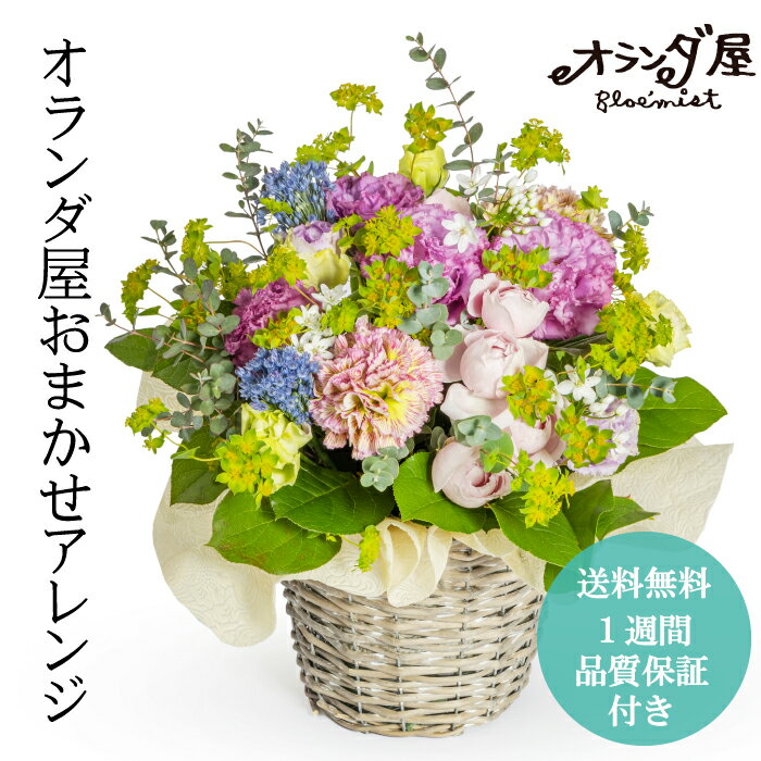 ◆オランダ屋おまかせアレンジ◆ 送料無料 アレンジメント 開店祝い 記念日 花 ギフト