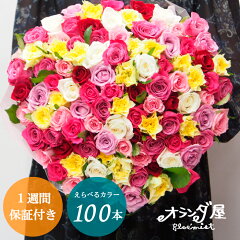 https://thumbnail.image.rakuten.co.jp/@0_mall/orandaya/cabinet/imgrc0109814920.jpg