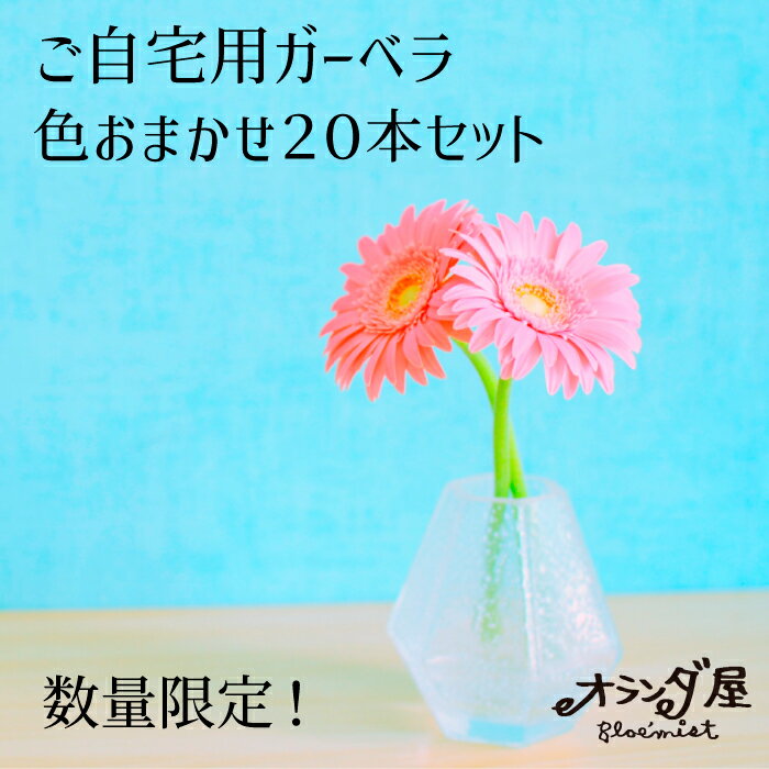 数量限定【 お得なガーベラご自宅用 】〇20本色おまかせ〇 ガーベラ 花 お得