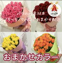 バラの花束30本おまかせカラー 【 母の日 バラ 花束 送料無料 ブーケ 生花 30本 薔薇 プレゼント 花 】