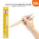 【5月25日24H限定 さらにエントリーでポイント12倍+最大100%ポイントバック ※要エントリー】ほんとうにすべらないお箸 こども用 チェックPU 18c...
