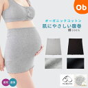 犬印本舗 マタニティ 肌にやさしい 腹巻き P7974R【ネコポス送料無料】 マタニティ