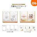 【9/1 最大100%Pバック+買い回りで最大P10倍 ※要エントリー】シヤチハタ PALM COLORS パームカラーズ 月齢おててカードキット 1セット入 【ネコポス】