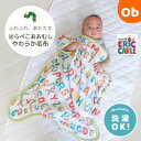 【5月25日24H限定 さらにエントリーでポイント12倍+最大100%ポイントバック ※要エントリー】はらぺこあおむし ベビー毛布 100×80cm 起毛 ベビ...