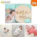 【9/1 最大100%Pバック+買い回りで最大P10倍 ※要エントリー】ペアヘッド ベビーマンスリーカード ウッド pearhead 月齢フォト【送料無料 沖縄・一部地域を除く】