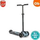 【5月1日24H限定 最大300%ポイントバック+最大P20倍※要エントリー】スクート&ライド ハイウェイキック5LED スチール スクートアンドライド【送料無...