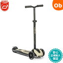【5月1日24H限定 最大300%ポイントバック+最大P20倍※要エントリー】スクート&ライド ハイウェイキック5LED アッシュ スクートアンドライド【送料無...