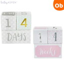 【9/1 最大100%Pバック+買い回りで最大P10倍 ※要エントリー】ベビーアスペン マイルストーン エイジブロック BABY ASPEN【ベビーシャワー 出産祝い ベビーギフト 赤ちゃん成長記録】【送料無料 沖縄・一部地域を除く】