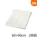 ベビー布団 V-Lap洗えるベビー敷き布団ミニサイズ60×90cm 2枚組 フジキ【送料無料 沖縄・一部地域を除く】