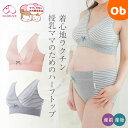 【9/25 最大100%Pバック+ジャンル買回り最大P10倍 ※要エントリー】犬印本舗 授乳ママのためのハーフトップ BR1624 M L 【ネコポス送料無料】マタニティ・授乳ブラ さんごチェア