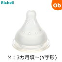 リッチェル HE乳首(2個入) Mサイズ はなえみ哺乳びん対応 替え乳首