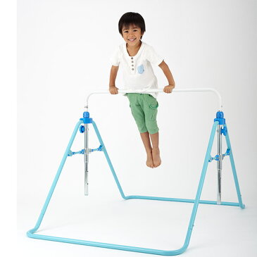 ワールド 遊びが運動! 折りたたみ ブランコ鉄棒 野中製作所【ラッピング不可商品】【送料無料 沖縄・一部地域を除く】