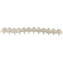 ダイドーハント ショート連結波板ビス 12連X2本(24本入) 4.2X23mm クリア 10176068 【114-2620】