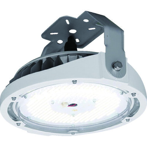 IRIS 高天井用LED照明 RZ180シリーズ 直付タイプ 15000lm LDRCL85N-110BS 【161-3843】