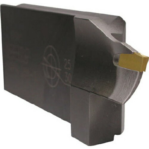 イスカル セルフグリップチップ用ブレード SGFFA SGFFA45-R-4 【162-5853】