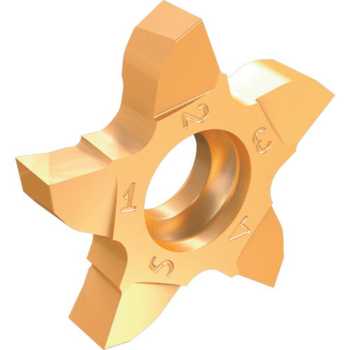 イスカル 溝入れ・突切り工具用チップ ペンタカット チップ PENTA 17−NP−RS／LS 右勝手 チップ長さ17mm IC1008 PENTA 17-100NP08RS IC1008 【入数：5】 【240-8534】(4.0)