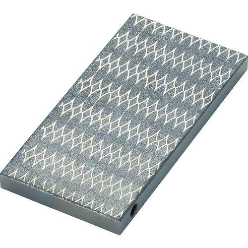 TRUSCO チップストーン 100X50X8 粗仕上用 ＃170 S-2-170 【286-8156】
