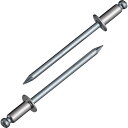 エビ ブラインドリベット(ステンレス/スティール製) 4−4(300本入) エコBOX NSS 44EB 【338-2583】(4)