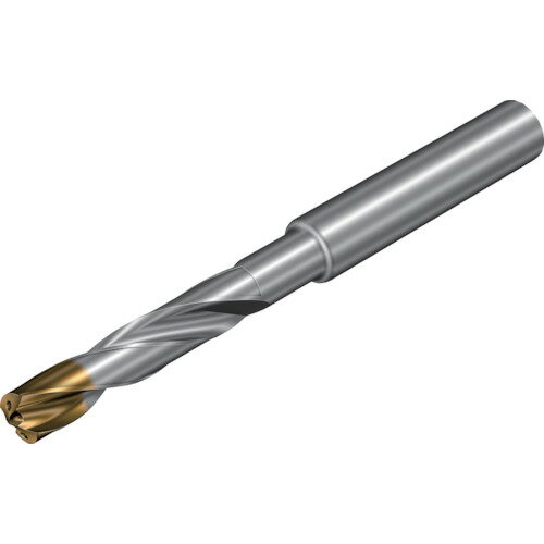 サンドビック コロドリル860‐GM 超硬ソリッドドリル（720） X1BM 860.1-0740-038A1-GM X1BM (720) 【350-4599】(4.0)