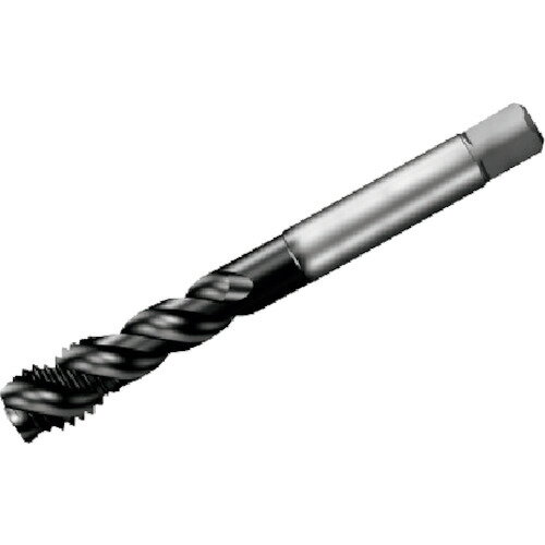 サンドビック コロタップ300 スパイラルタップ（780） P1PM T300-PM101JA-M12 P1PM (780) 【351-8276】