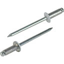 エビ カラーブラインドリベット5−3アルミ/スチール(300本入)リベット長8.9MM ホワイト CNSA53WEB 【372-0764】