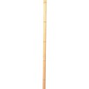 伝蔵 竹 建仁寺 1.8M J022 【377-9648】