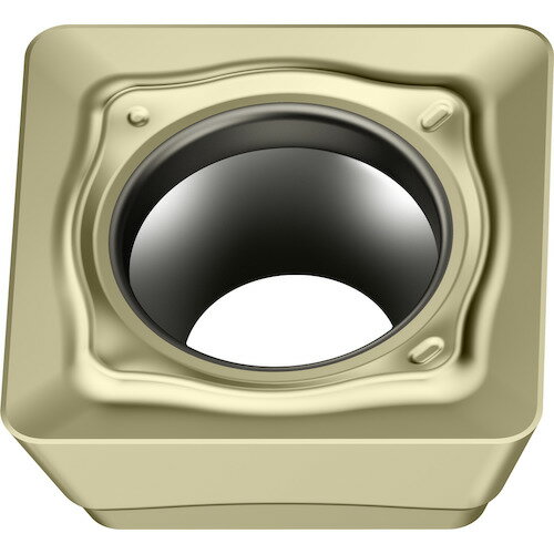 ワルター ミーリング加工用 正方形ポジチップ WSP45G SDMT09T308-D57 WSP45G 【入数：10】 【410-9760】