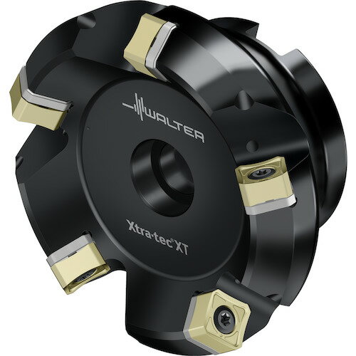 ワルター フェイスミルカッター M5009−Bボア穴タイプ 6枚刃 M5009-063-B22-06-06-AP 【411-7618】