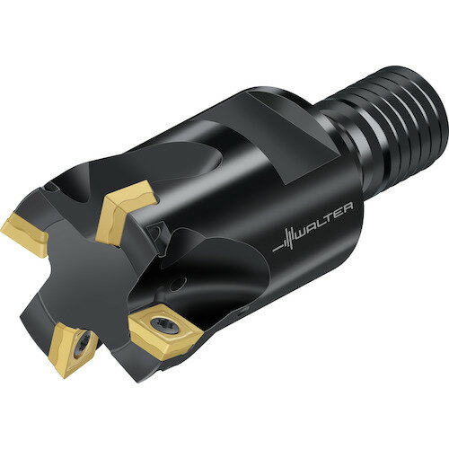 ワルター 肩削りカッター M4132-020-TC10-03-06 【411-7692】