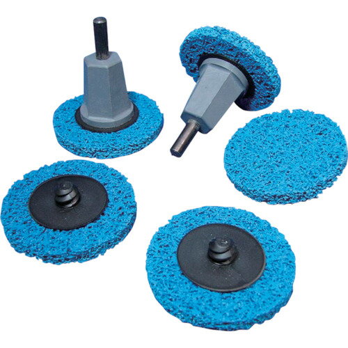 NORTON �֥롼�ե����䡼TM 3D �Կ��ۥǥ����� �����å������� 2QC50VT3DM1 ��������10�� ��413-3978��