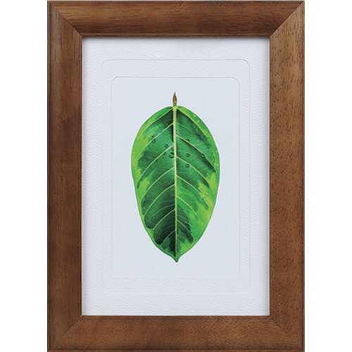 󥳡 1250173 ̿Ω  ֥饦 PS−GM−BR PS-GM-BR 414-1029