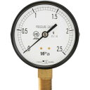 高島 一般圧力計（A枠立型・φ100） 圧力レンジ0．0～0．6MPa G3／8 1027060 