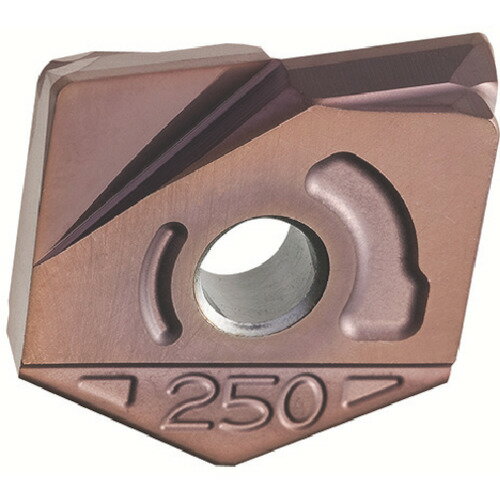 MOLDINO カッタ用チップ ZCFW200−R1．0 BH250 BH250 ZCFW200-R1.0 BH250 【入数：2】 【429-7920】