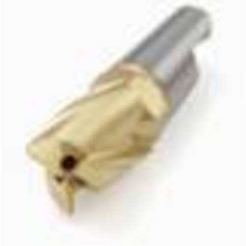 セコ フライス ミニマスターヘッド MM10 F30M MM10-10012-R10A30-E03 F30M 【入数：2】 【435-9044】