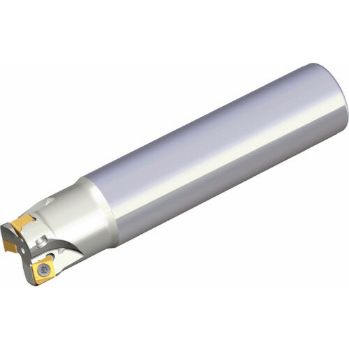 テグテック ミーリングカッター チェイス4ミル 4N TE90-640-W32-06 【439-8419】