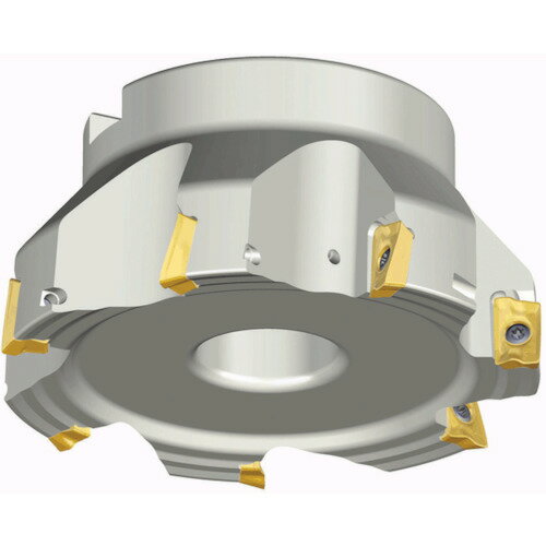 テグテック ミーリングカッター チェイスミル TFM90AP 440-16R-17 【439-8460】