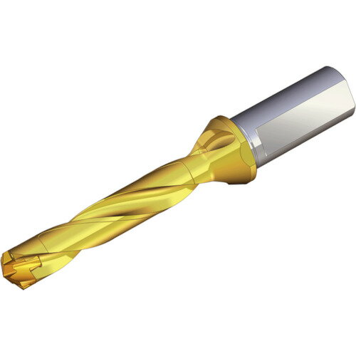 テグテック 刃先交換式ドリルホルダー ドリルラッシュ TCD 160-169-20T3-5D 【440-1615】