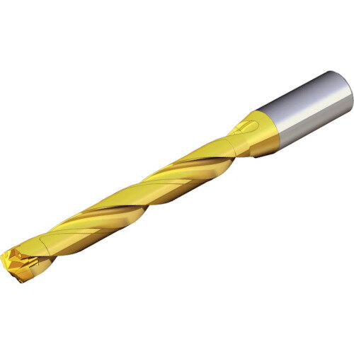 テグテック 刃先交換式ドリルホルダー ドリルラッシュ TCD 070-074-12S0-8D 【440-3225】