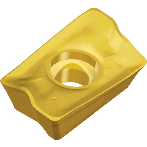 テグテック ミーリング加工用チップ チェイスミル APKT 170530R-EM TT9080 【入数：10】 【442-3601】