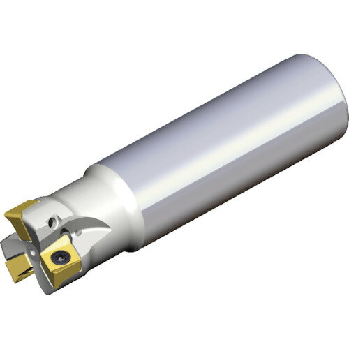 テグテック ミーリングカッター チェイス4ミル 4N TE90-225-W25-09 【442-4708】