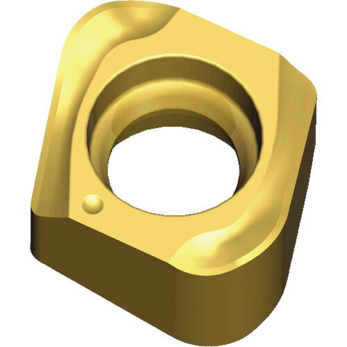 テグテック ミーリング加工用チップ チェイス4ミル 4NKT 140750R-HF TT9080 【入数：10】 【445-6053】