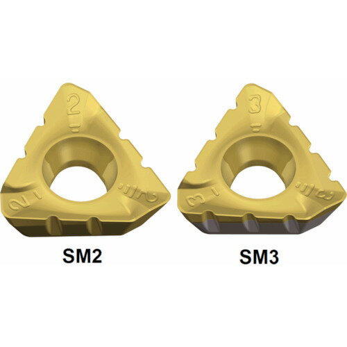 テグテック ミーリング加工用チップ ミルラッシュ 3PKT 150508R-SM3 TT8080 【入数：10】 【445-6094】