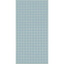 TRUSCO 棚用ディスプレイネット 金具付 600X1200 ネオグレー TN-6012 NG (600X1200)(カナグツキ) 【512-7645】
