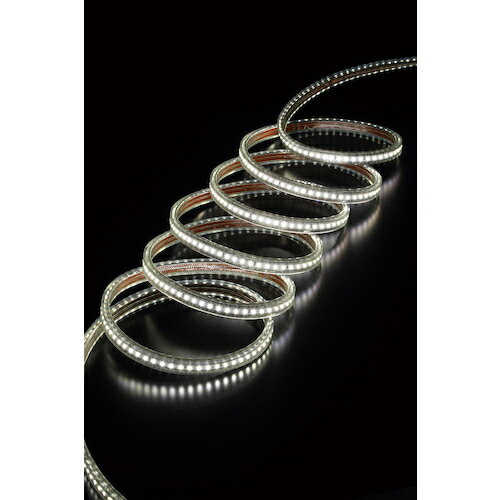 ハタヤ LEDテープライトR片面セット RLTP10S 【563-0233】