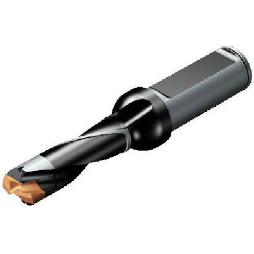 Rakuten - サンドビック コロドリル870 ヘッド交換式ドリル（446） 870-2200-22L25-3 (446) 【565-7008】
