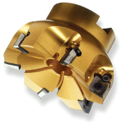 サンドビック コロミル590カッター（450） R590-100Q32S-11M (450) 【576-0101】