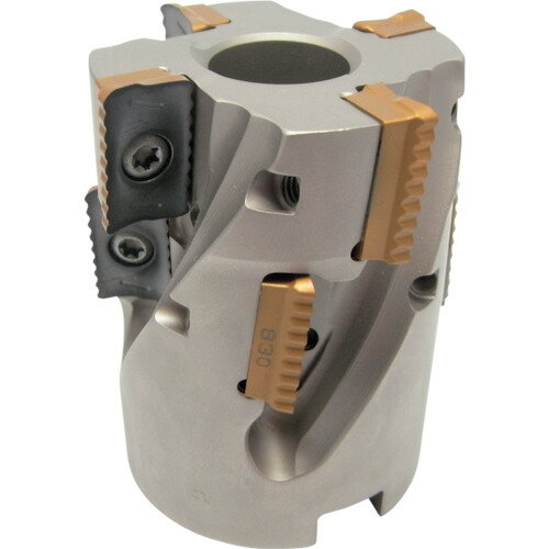 イスカル シュレッドミルP290 シェルミル P290 SM 刃径40mm シャンク径22mm P290 SM D040-04-48-22-12 ..